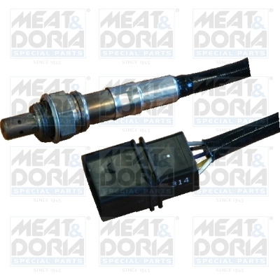 Oxygen Sensor